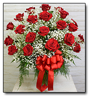 Two Dozen Rosa Prima Red Roses