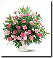 Classic Carnation Arrangement 